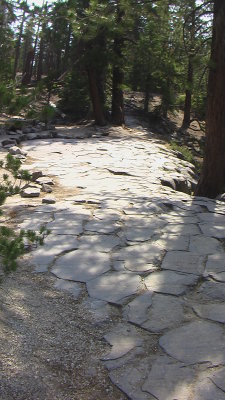 IMGA0254.JPG
