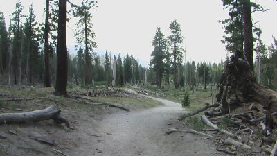 IMGA0259.JPG