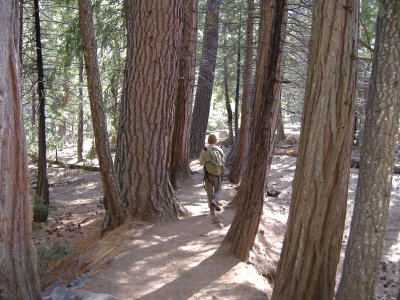 DSCF2365.JPG