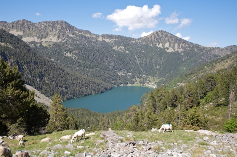 Lac dOrdon