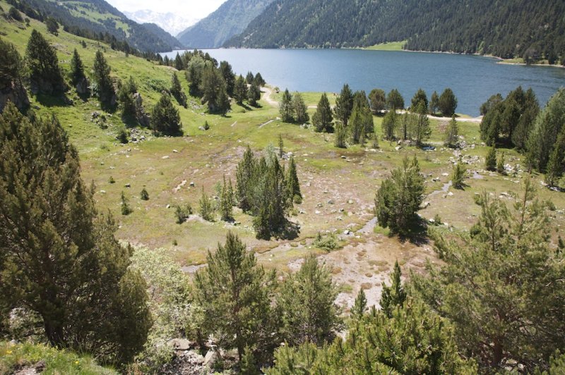 Tourbire et Lac de lOule