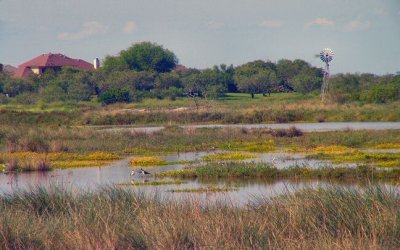  wetlands