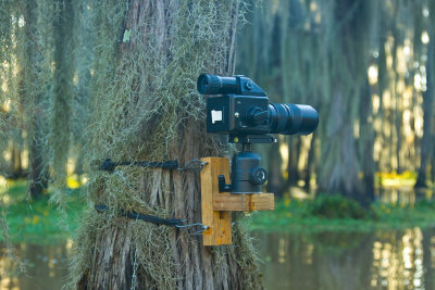 Bayou Monopod