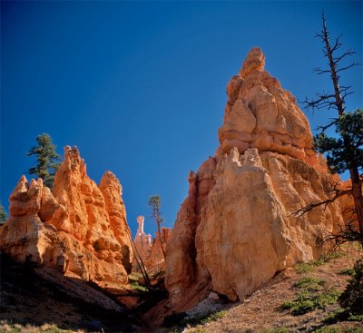 Hoodoos Scenery Walk