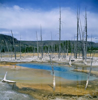 Black Sands Basin