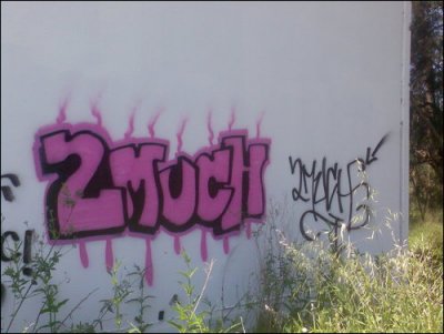 pieces