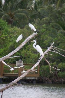 Naples, Florida