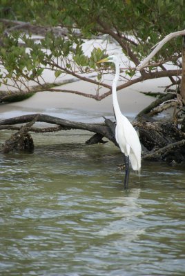 Naples, Florida