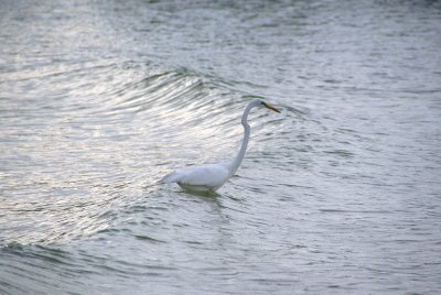 Naples, Florida