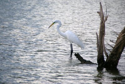 Naples, Florida