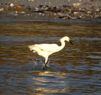 Naples, Florida