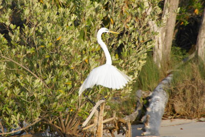 Naples, Florida