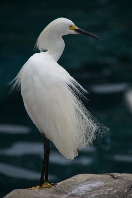 Naples, Florida