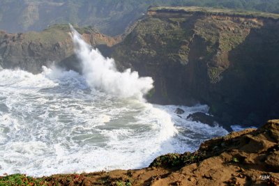 Otter Point State Park, OR