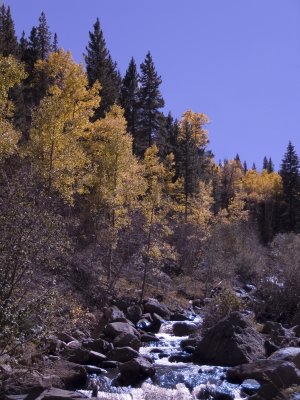 Creek Along Guenella Pass