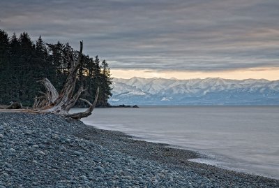 fallen-tree-tweaked-upload.jpg
