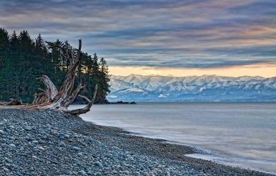 Fallen-Tree-HDR-upload.jpg