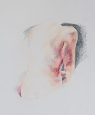 shoulder study