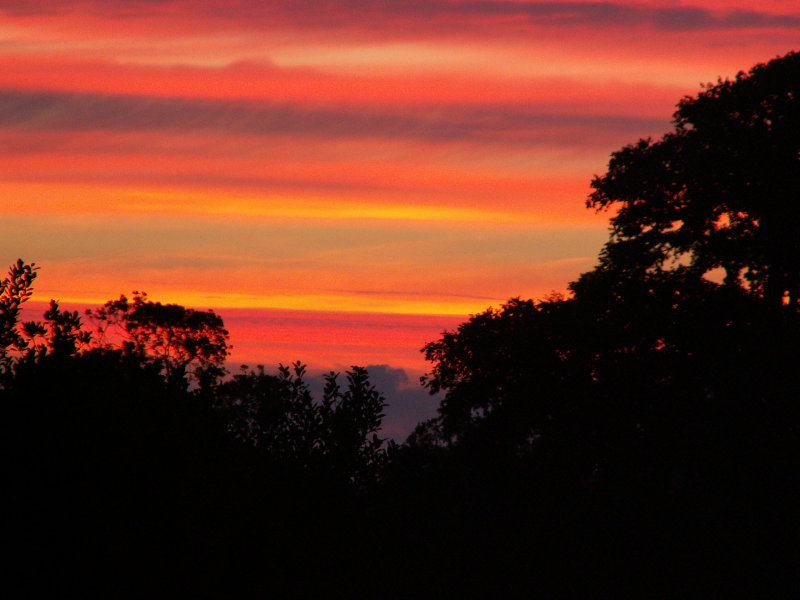 July - sunrise from my bedroom window