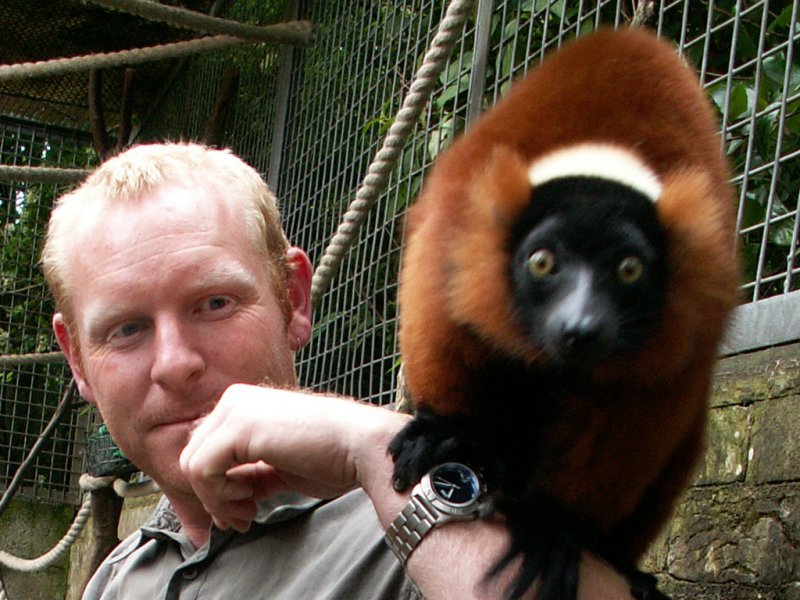 July 10 Bristol Zoo - Alan and Colin the Lemur