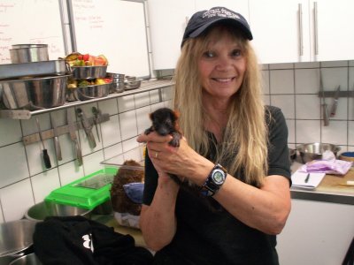 Sandwich Rare Species Conservation Centre - me and baby lemur Tosey