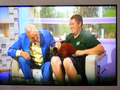 July - Colin the lemur on tv with John Cleese