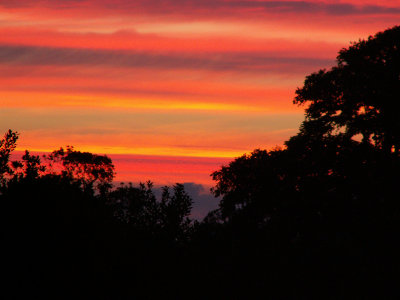 July - sunrise from my bedroom window