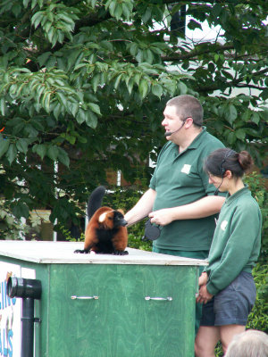 July 10 Bristol Zoo - Colin is the star of the show