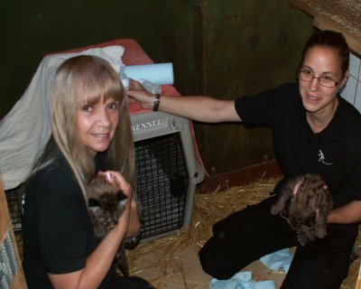 Me & Karen feeding baby pumas