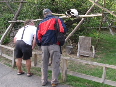 Colin & Dick at Howletts trying to figure out what animal that is :)