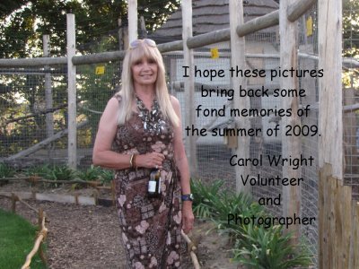 At  the Rare Species Conservation Centre, Sandwich