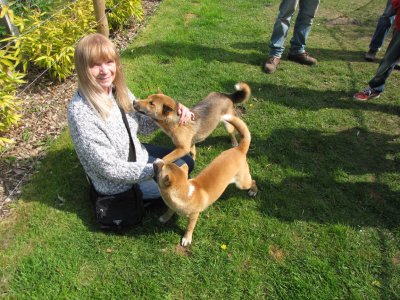Me & the singing dogs