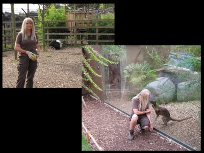 tapir and fossa at the RSCC