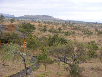 A typical tent and it's view