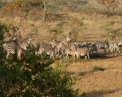 Our Trip to Africa 2008