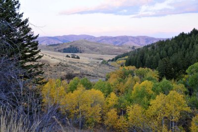 Autumn in the Mountains 2008 _DSC9918.jpg