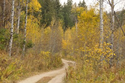 our country driveway in autumn _DSC9950.jpg