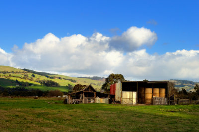 Gippsland Farm