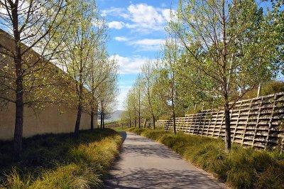 Path to the vineyard