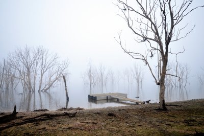 Fog on the still water ~