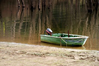 Ready for fishing