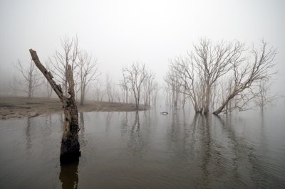 Cold winter fog on the lake