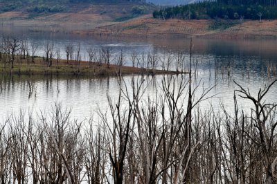 Earthly tones of Eildon