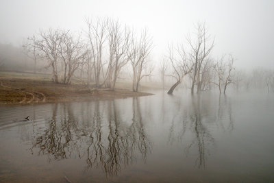 Winter fog on the lake ~*