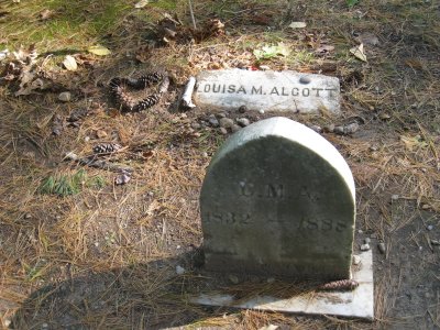 Louisa M. Alcott - Sleepy Hollow Cemetery - Concord, Mass.