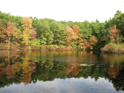 Walden Pond - Concord, Mass.