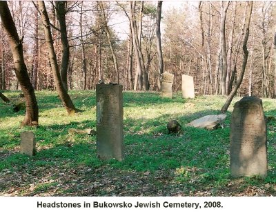 Bukowsko Jewish Cemetery - 2008