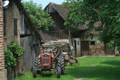 farmyard, Cigoc