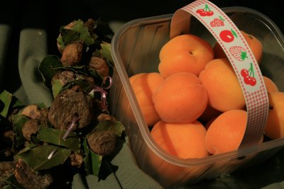 fig necklace and apricots (21st c.)