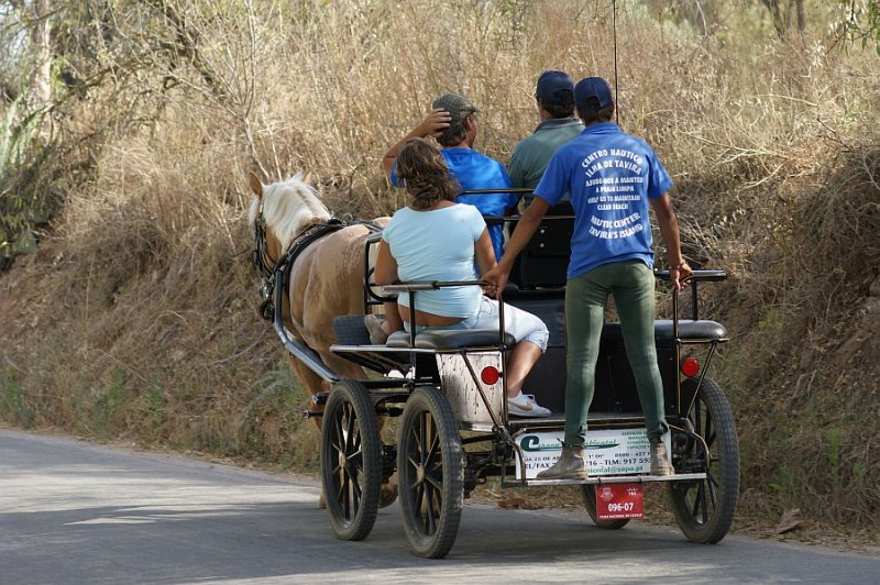 Passeio de Carroa // A Cart journey // Promenade en Charrette  Cheval